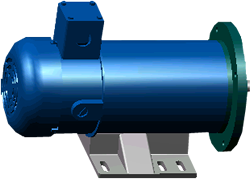 SCR Rated NEMA DC Motors