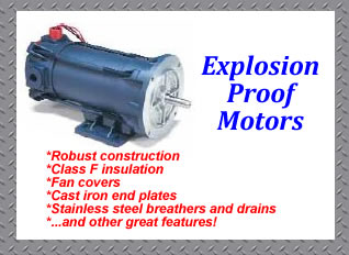 Explosion Proof DC Motors by Leeson